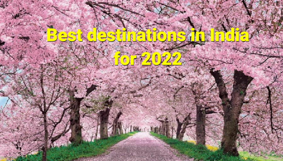 Best destinations in India for 2022